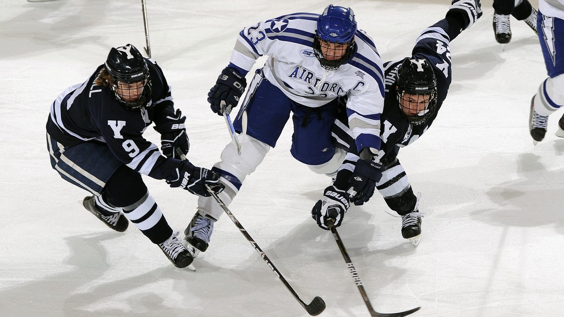 德甲青训加速度,未来之星跃跃欲试,德甲青训排名